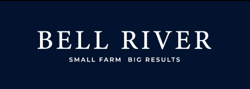 Bell River Thoroughbreds image